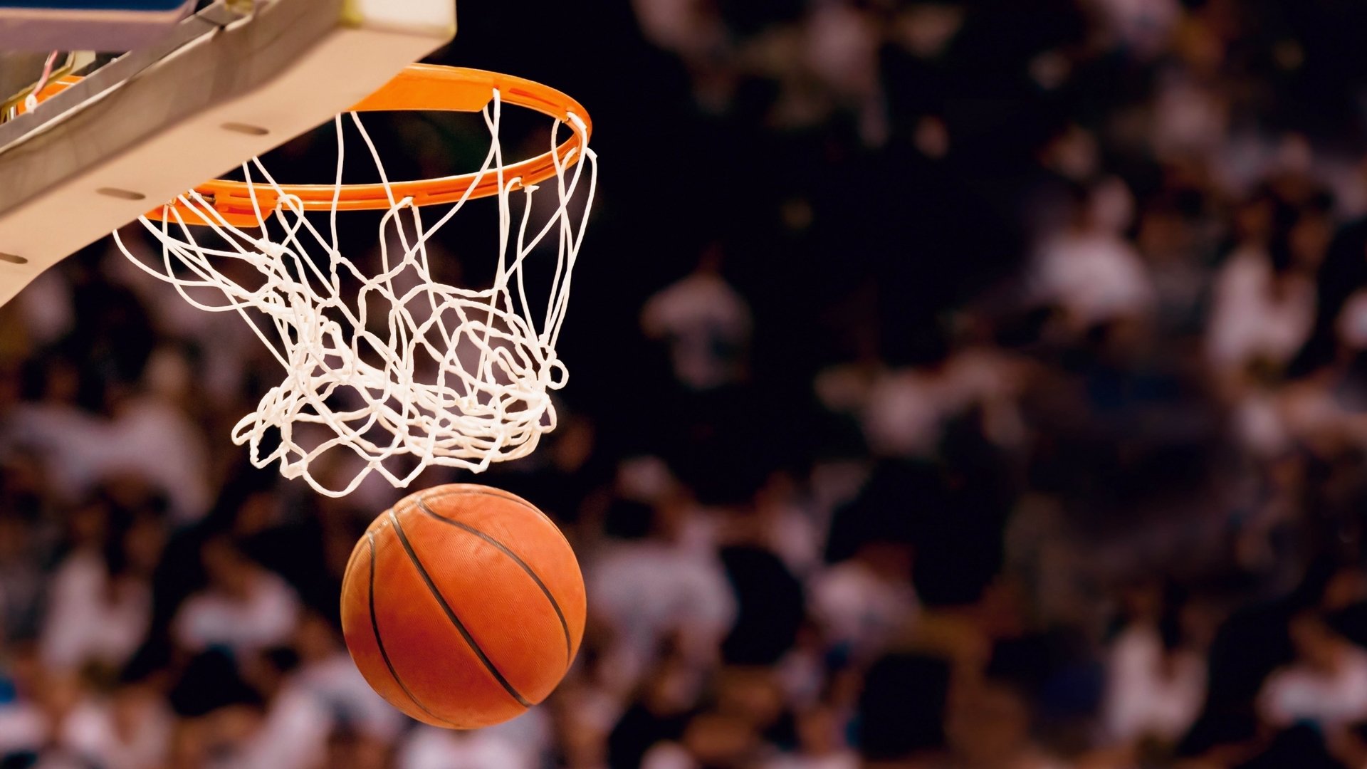 综合体育,詹姆斯30分激战瑞士,开拓者调整名单,切尔西关注NBA伤情